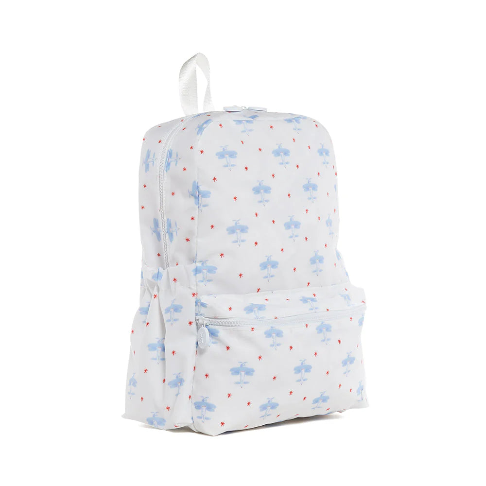 David’s Airplane Backpack