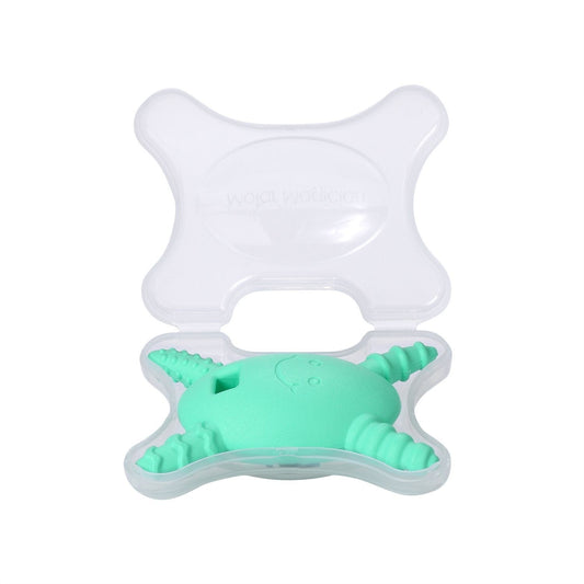 The Molar Shell